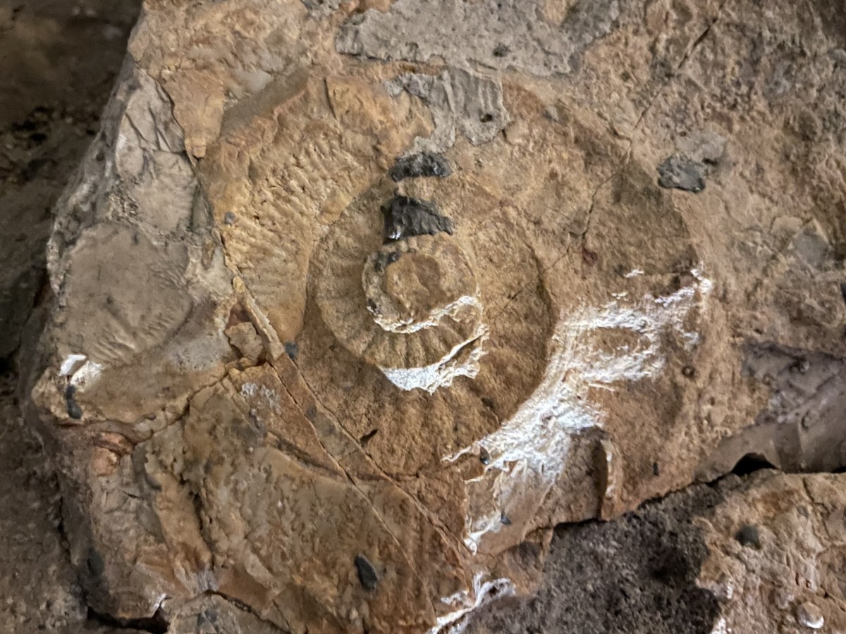 Vergangenheit und Zukunft